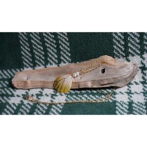 Moonrise Sunrise Shell Necklace